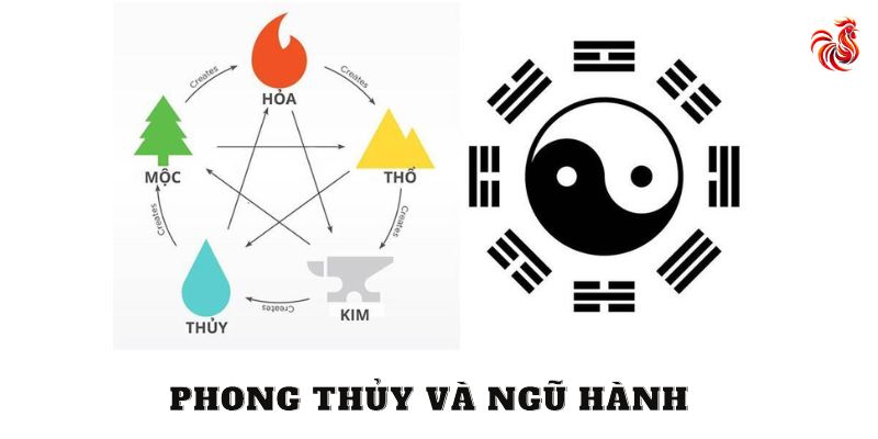 hôm nay đá gà màu nào mạnh