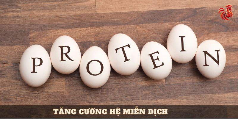 gà ác có tác dụng gì